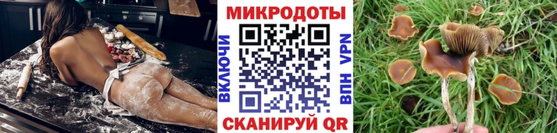 Псилоцибиновые грибы MAGIC MUSHROOMS  купить наркоту  Мурманск 