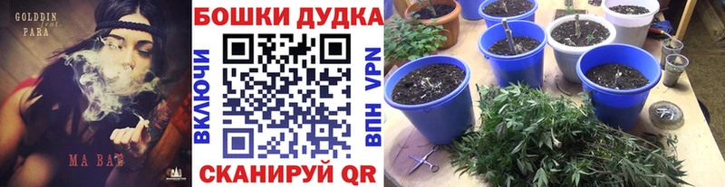 Бошки марихуана AK-47 Мурманск